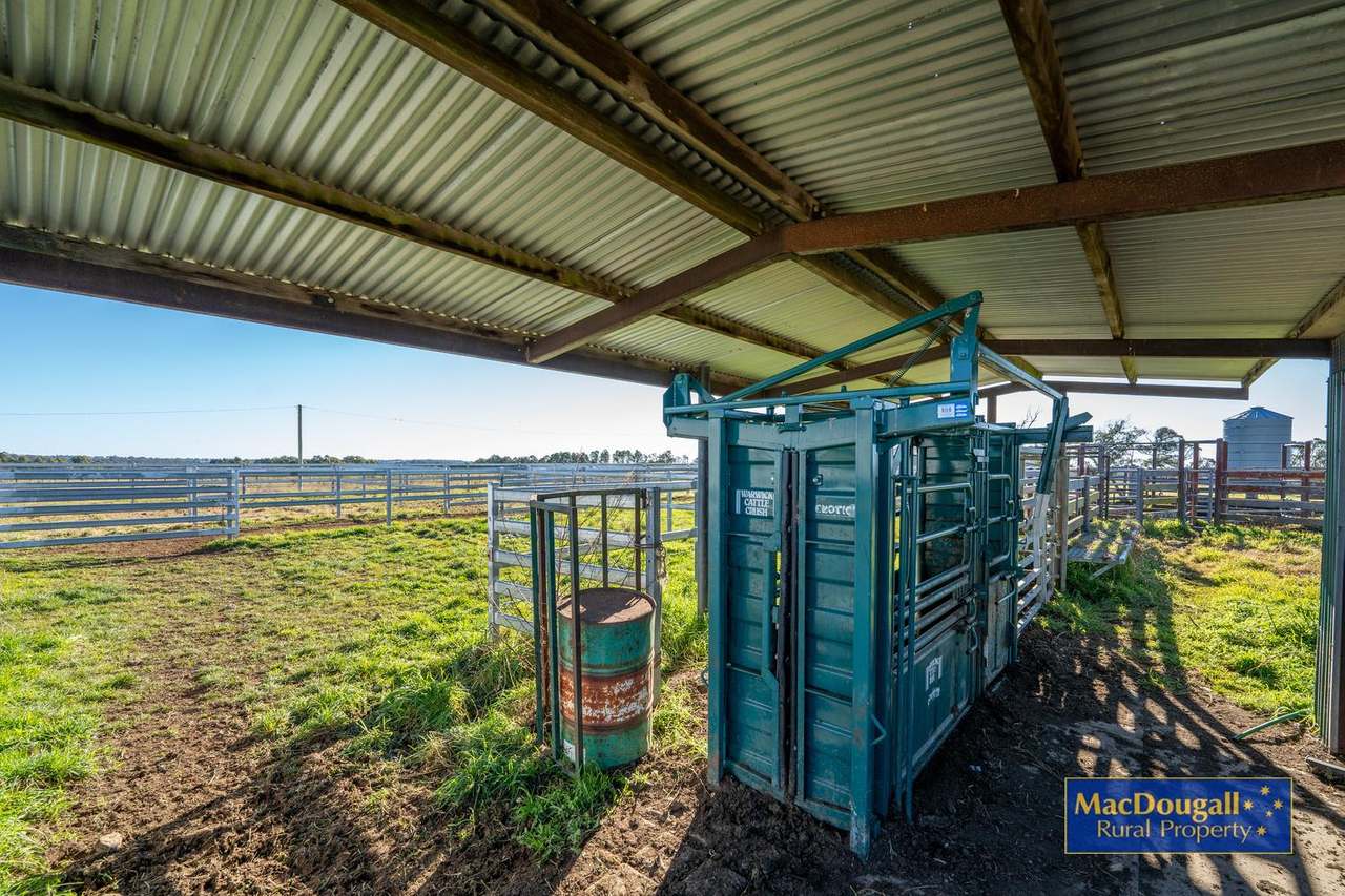 161 Hickeys Road, Wongwibinda For Sale by Farmbuy.com - image 8