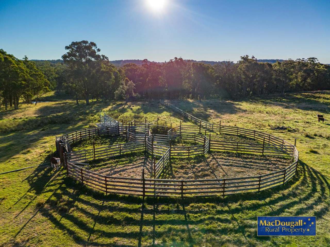 161 Hickeys Road, Wongwibinda For Sale by Farmbuy.com - image 12