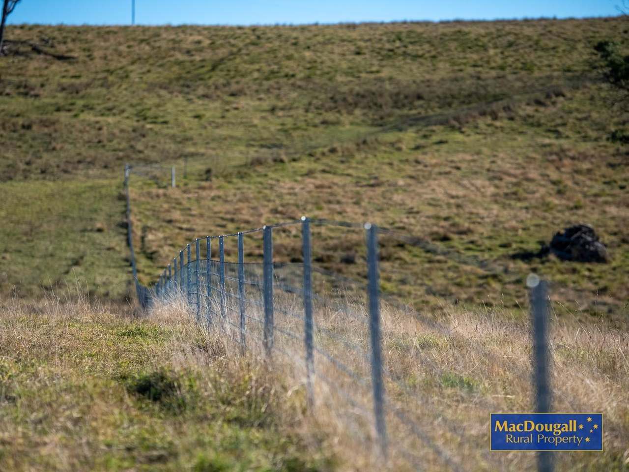 161 Hickeys Road, Wongwibinda For Sale by Farmbuy.com - image 10