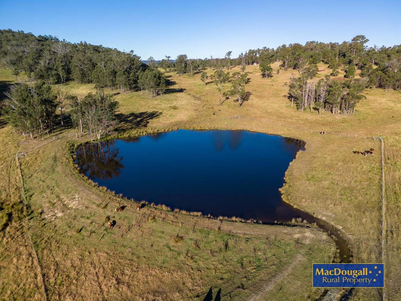 161 Hickeys Road, Wongwibinda For Sale by Farmbuy.com - image 21