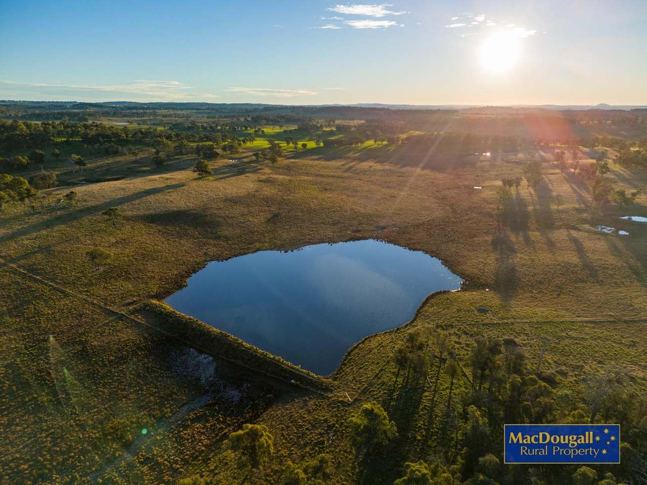 161 Hickeys Road, Wongwibinda For Sale by Farmbuy.com - image 16