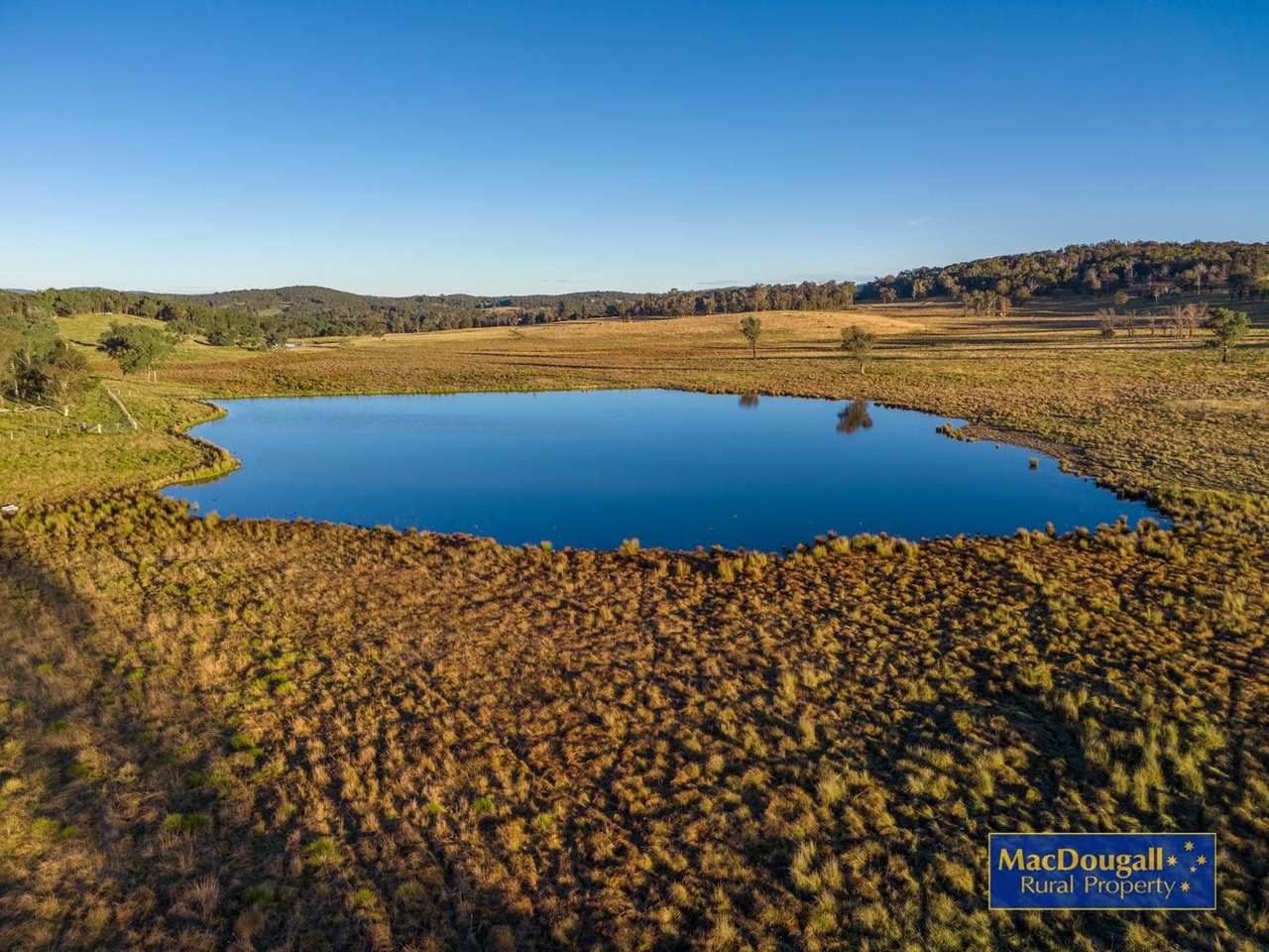 161 Hickeys Road, Wongwibinda For Sale by Farmbuy.com - image 15