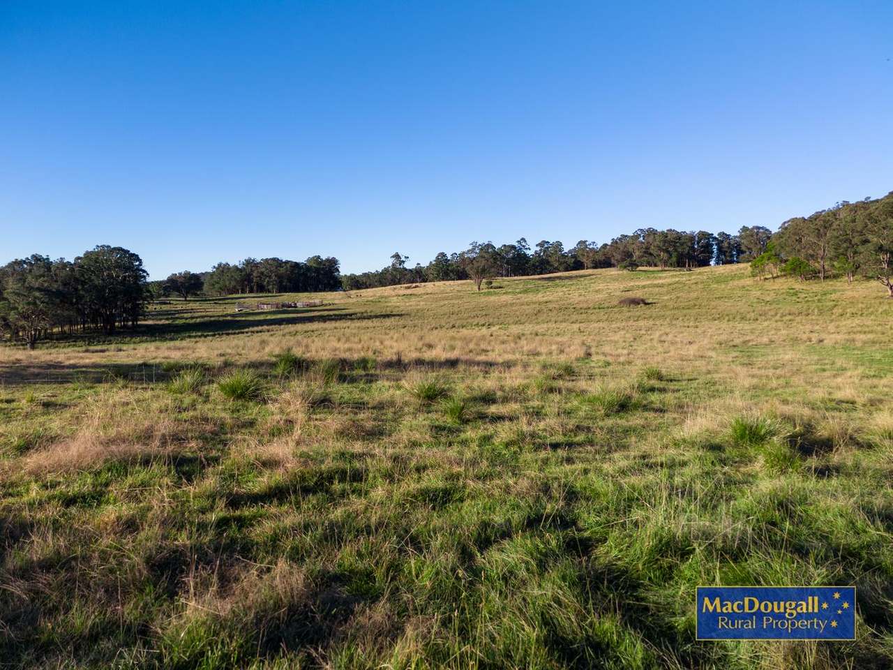 161 Hickeys Road, Wongwibinda For Sale by Farmbuy.com - image 17
