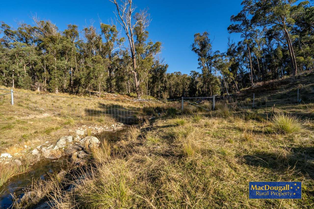 161 Hickeys Road, Wongwibinda For Sale by Farmbuy.com - image 11
