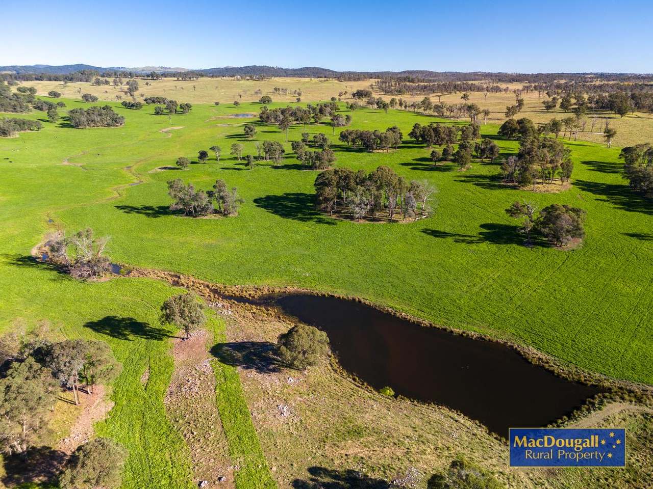 161 Hickeys Road, Wongwibinda For Sale by Farmbuy.com - image 4