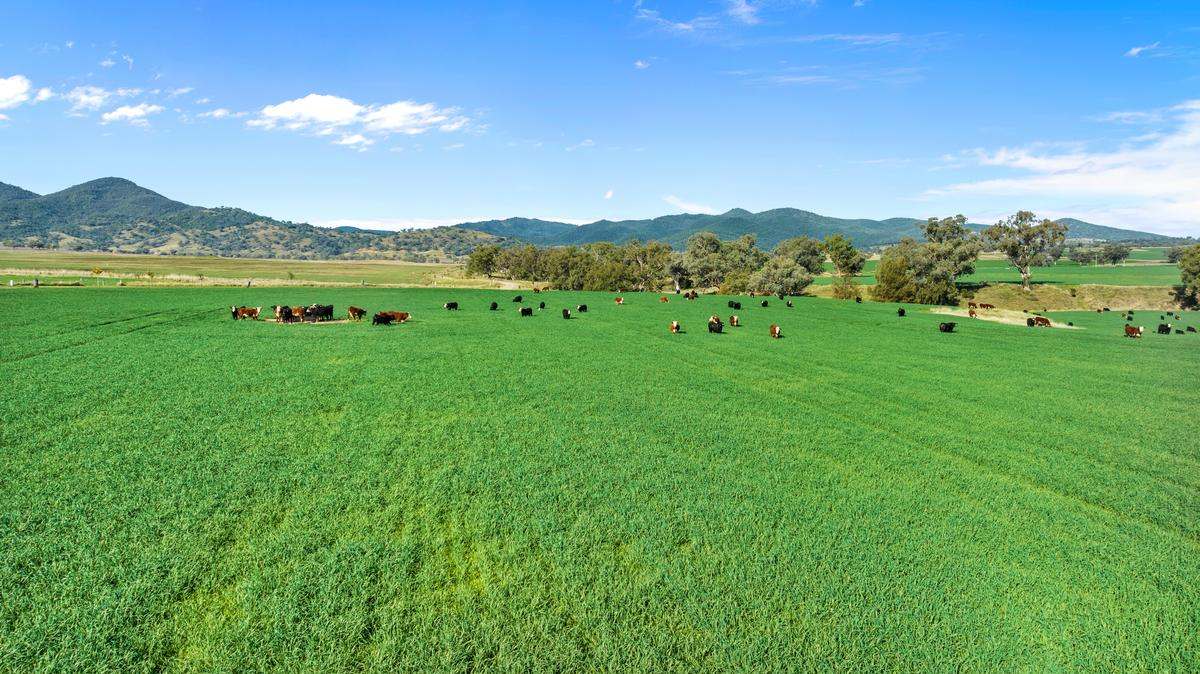 583 Glen Alpine Road, Werris Creek Expressions of Interest by Farmbuy.com - image 4