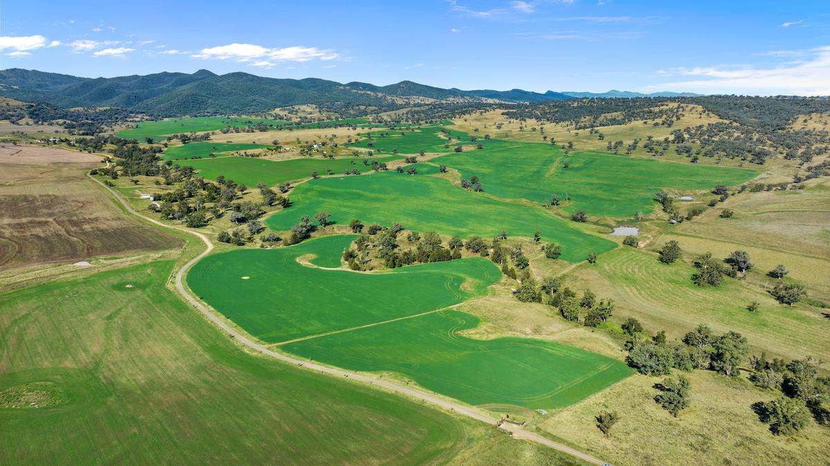 583 Glen Alpine Road, Werris Creek Expressions of Interest by Farmbuy.com - image 12