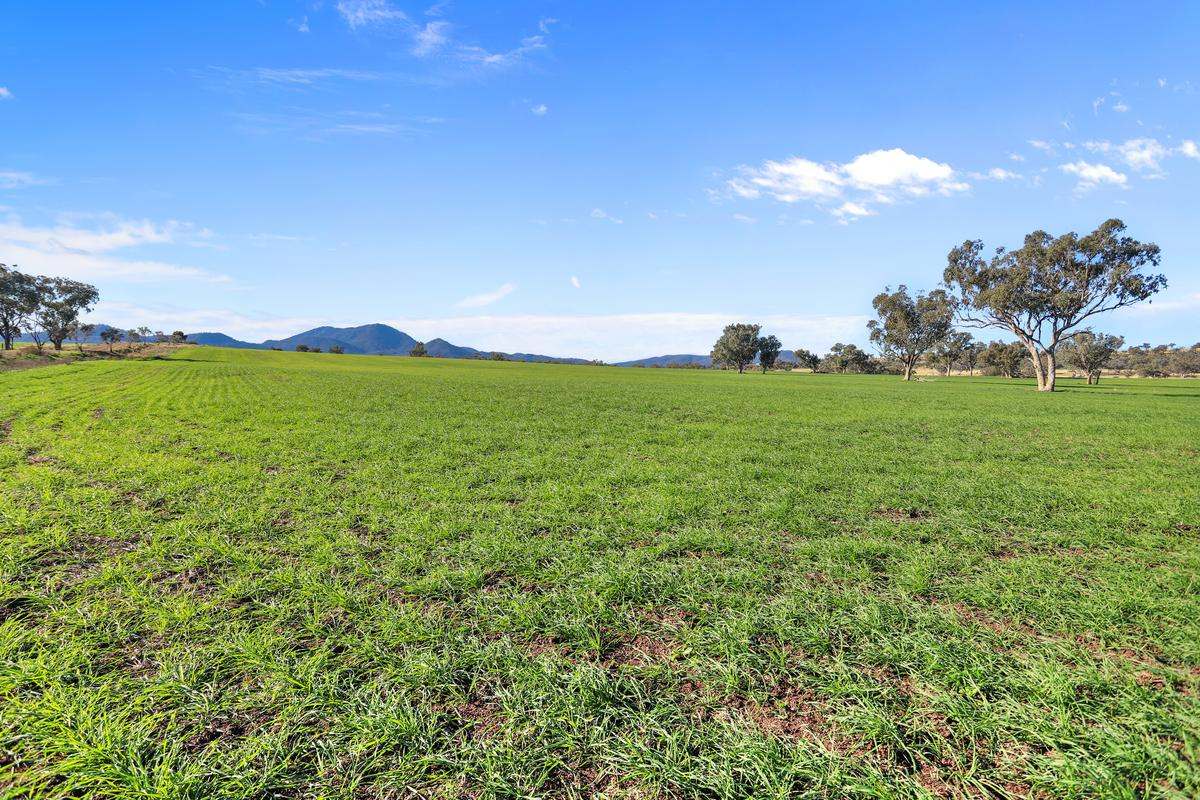 583 Glen Alpine Road, Werris Creek Expressions of Interest by Farmbuy.com - image 29