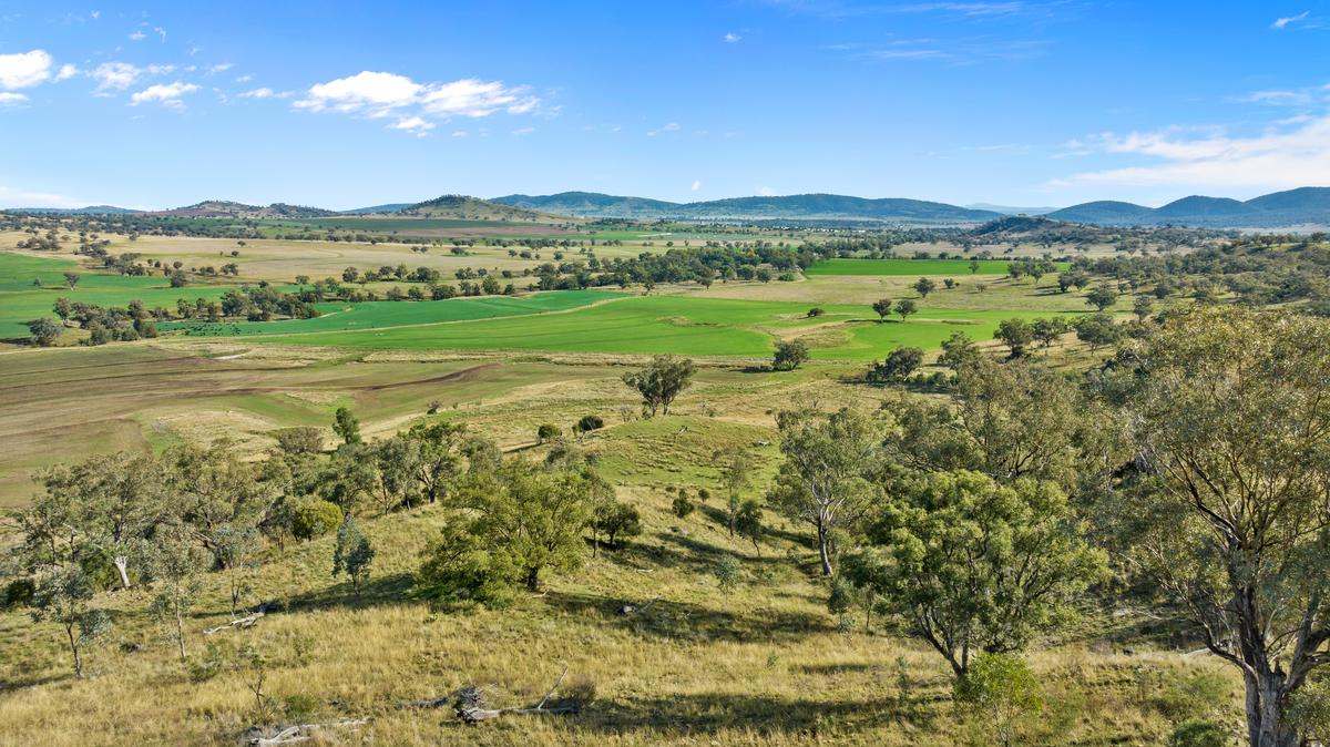 583 Glen Alpine Road, Werris Creek Expressions of Interest by Farmbuy.com - image 15