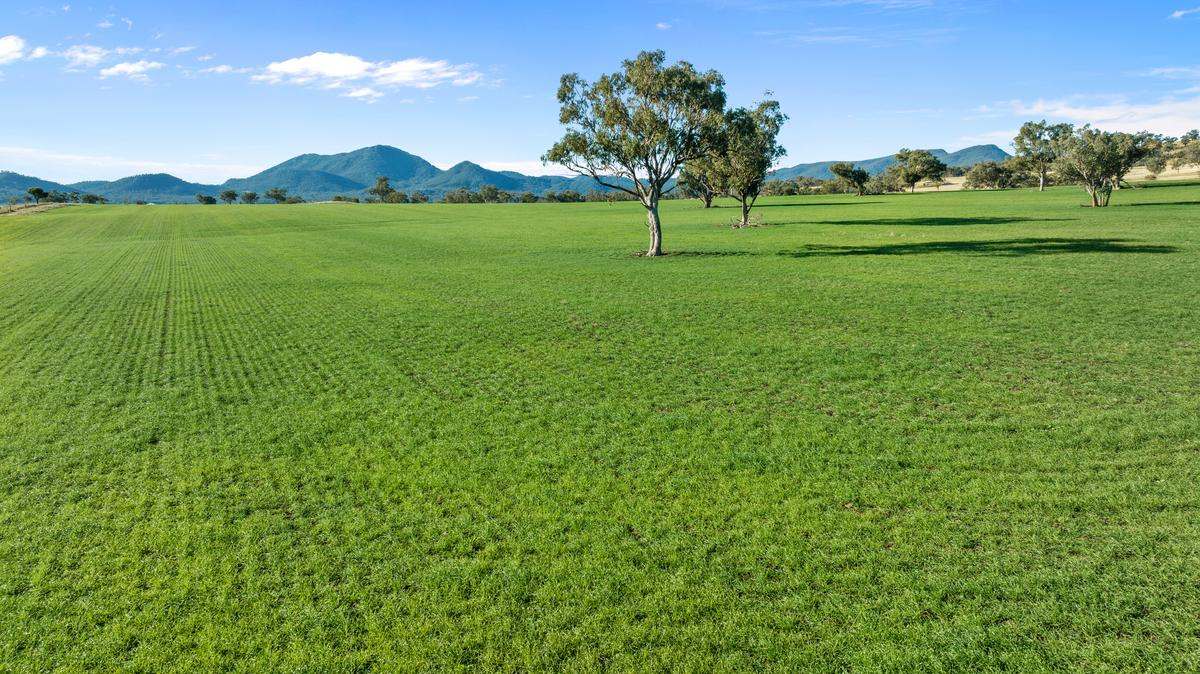 583 Glen Alpine Road, Werris Creek Expressions of Interest by Farmbuy.com - image 27