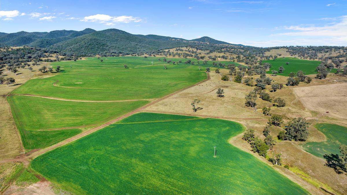 583 Glen Alpine Road, Werris Creek Expressions of Interest by Farmbuy.com - image 11