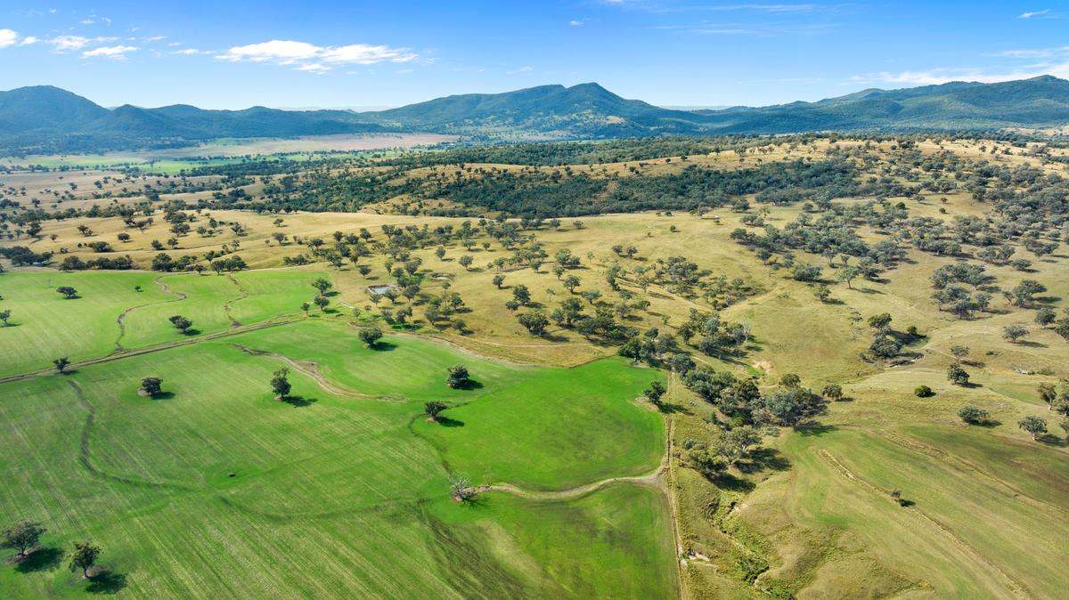 583 Glen Alpine Road, Werris Creek Expressions of Interest by Farmbuy.com - image 6