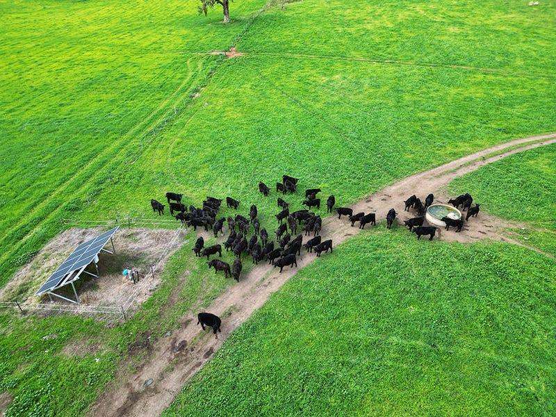 803 Ogunbil Road, Dungowan Auction by Farmbuy.com - image 28
