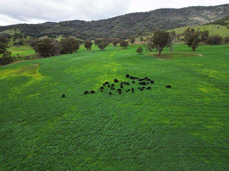 803 Ogunbil Road, Dungowan Auction by Farmbuy.com - image 35