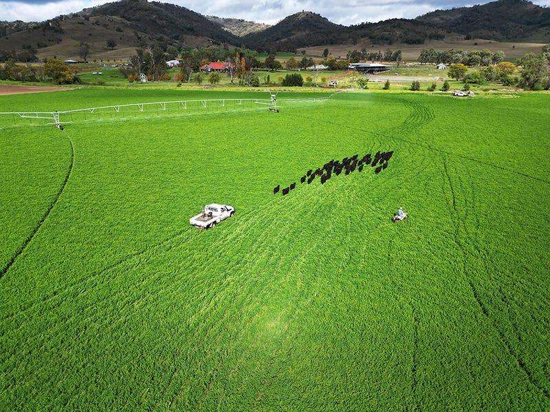 803 Ogunbil Road, Dungowan Auction by Farmbuy.com - image 4