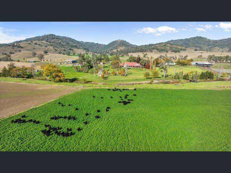803 Ogunbil Road, Dungowan Auction by Farmbuy.com - image 27