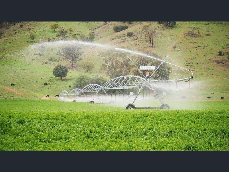 803 Ogunbil Road, Dungowan Auction by Farmbuy.com - image 2