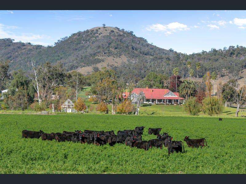 803 Ogunbil Road, Dungowan Auction by Farmbuy.com - image 26