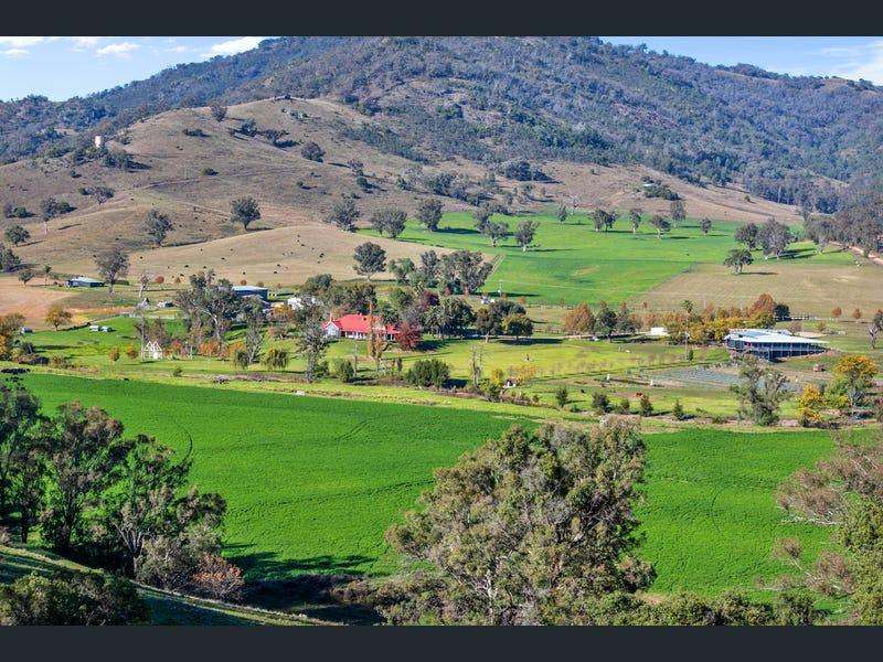 803 Ogunbil Road, Dungowan Auction by Farmbuy.com - image 33
