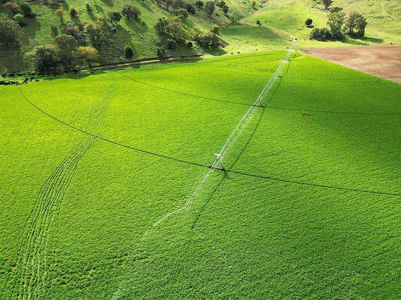 803 Ogunbil Road, Dungowan Auction by Farmbuy.com - image 11