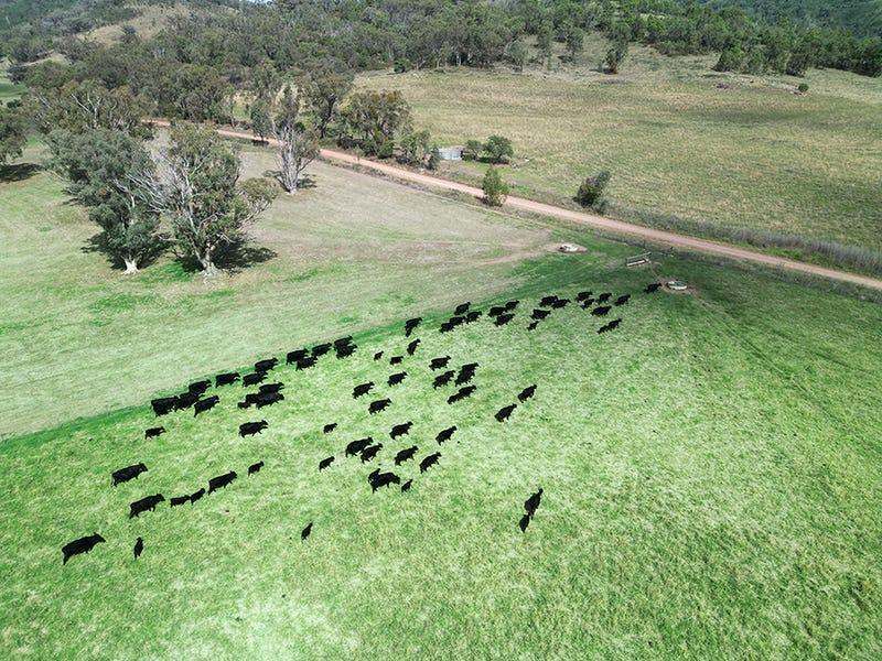 803 Ogunbil Road, Dungowan Auction by Farmbuy.com - image 25