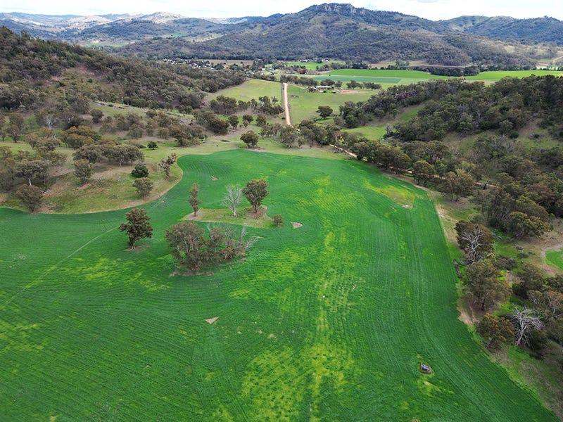 803 Ogunbil Road, Dungowan Auction by Farmbuy.com - image 34