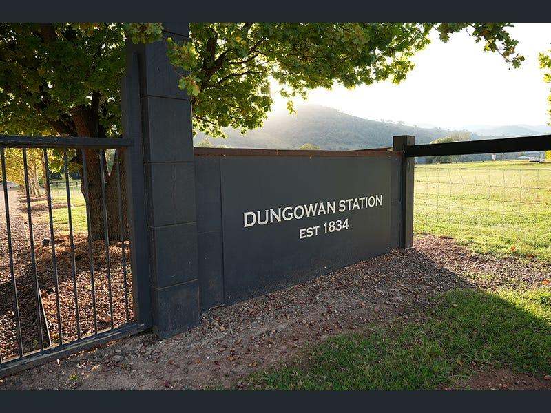 803 Ogunbil Road, Dungowan Auction by Farmbuy.com - image 5