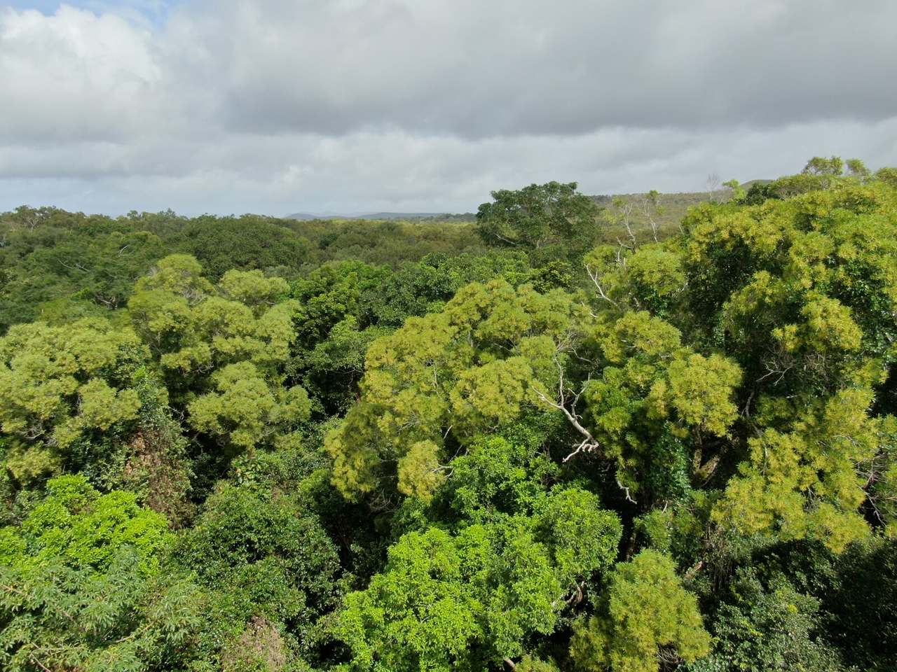 Endeavour Battlecamp Road, Cooktown For Sale by Farmbuy.com - image 2