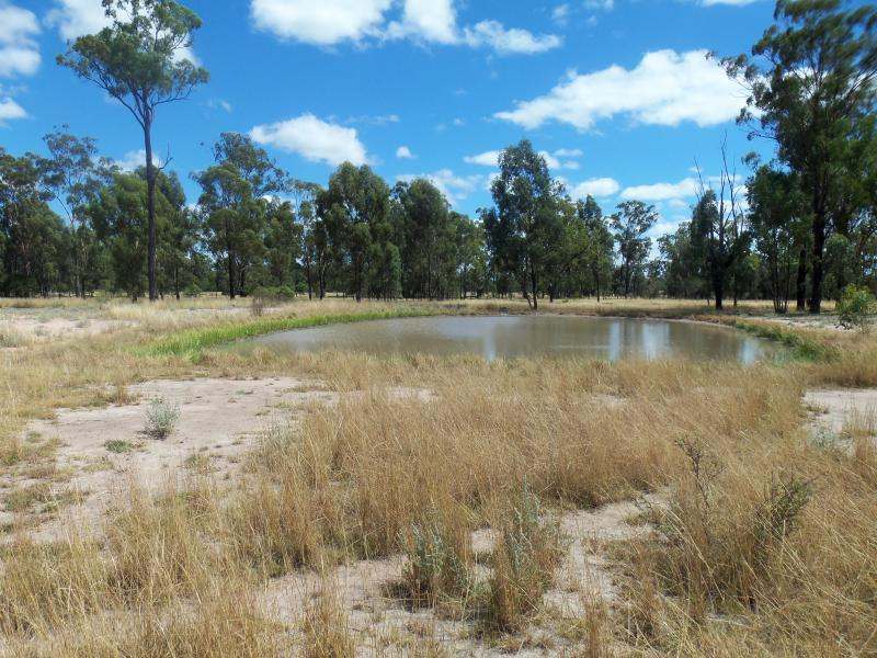 47 Montrose Road,, KOGAN For Sale by Farmbuy.com - image 5