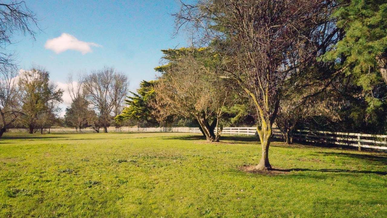 371 Mayfield Road, Larbert (Braidwood) For Sale by Farmbuy.com - image 29