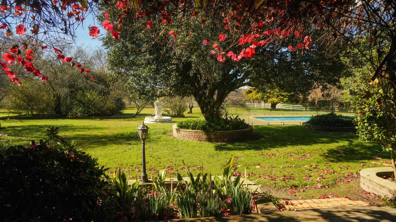 371 Mayfield Road, Larbert (Braidwood) For Sale by Farmbuy.com - image 26
