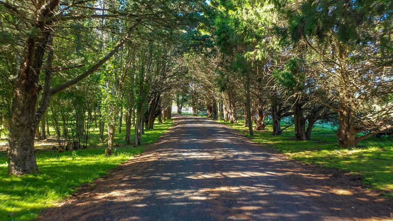 371 Mayfield Road, Larbert (Braidwood) For Sale by Farmbuy.com - image 16