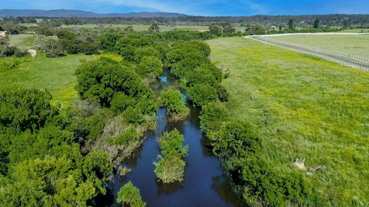 371 Mayfield Road, Larbert (Braidwood) For Sale by Farmbuy.com - image 49