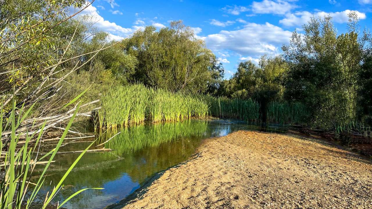 371 Mayfield Road, Larbert (Braidwood) For Sale by Farmbuy.com - image 52