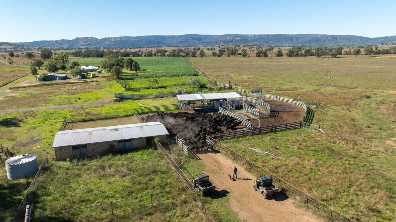 3243-3351 Trevallyn Road, Upper Horton Auction by Farmbuy.com - image 19