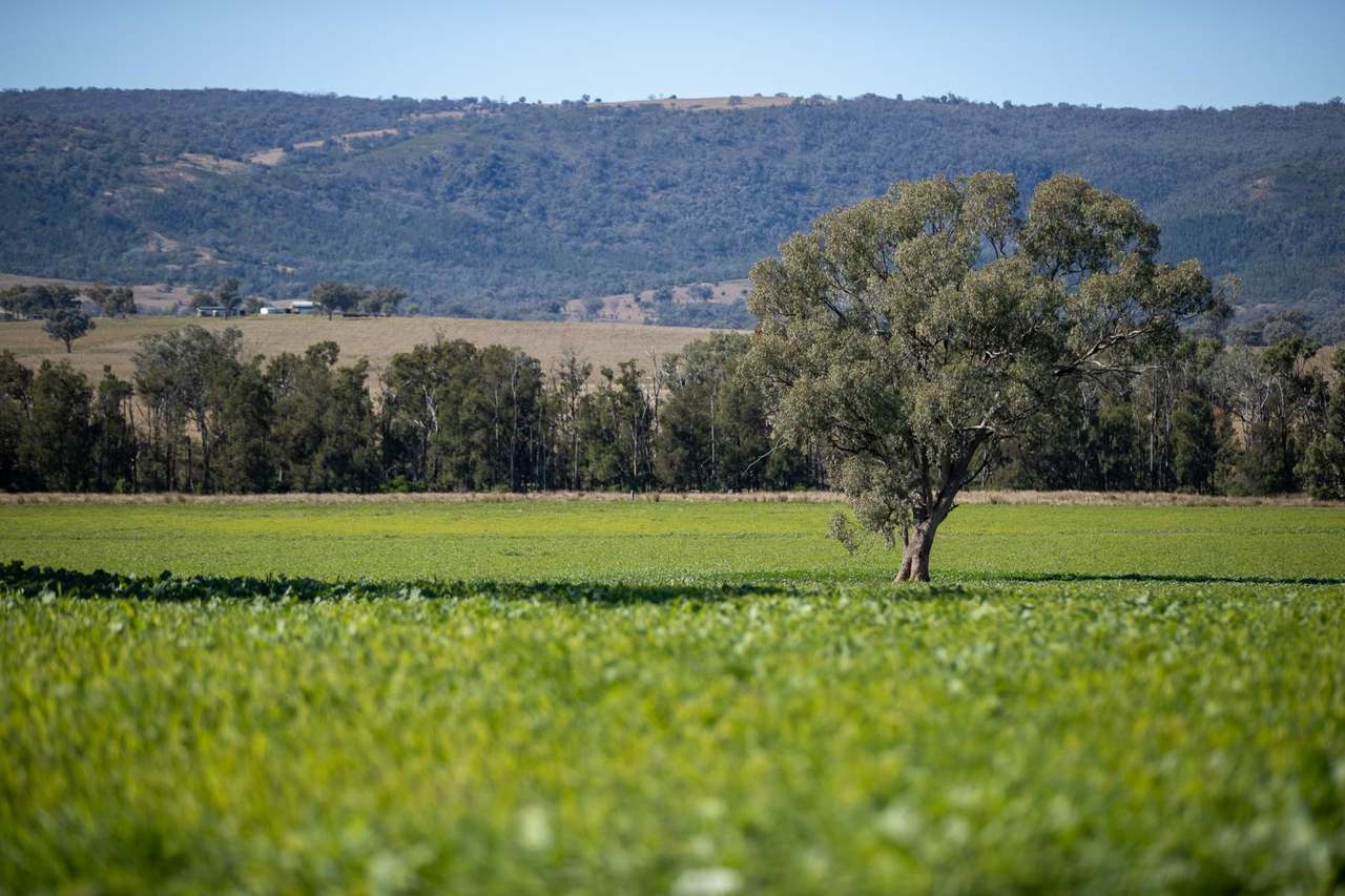 3243-3351 Trevallyn Road, Upper Horton Auction by Farmbuy.com - image 26