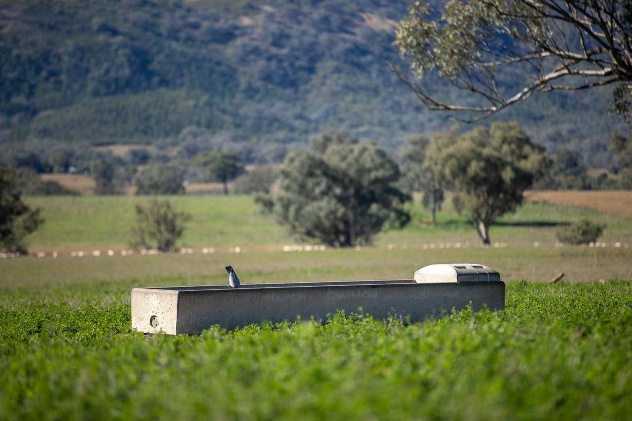 3243-3351 Trevallyn Road, Upper Horton Auction by Farmbuy.com - image 15