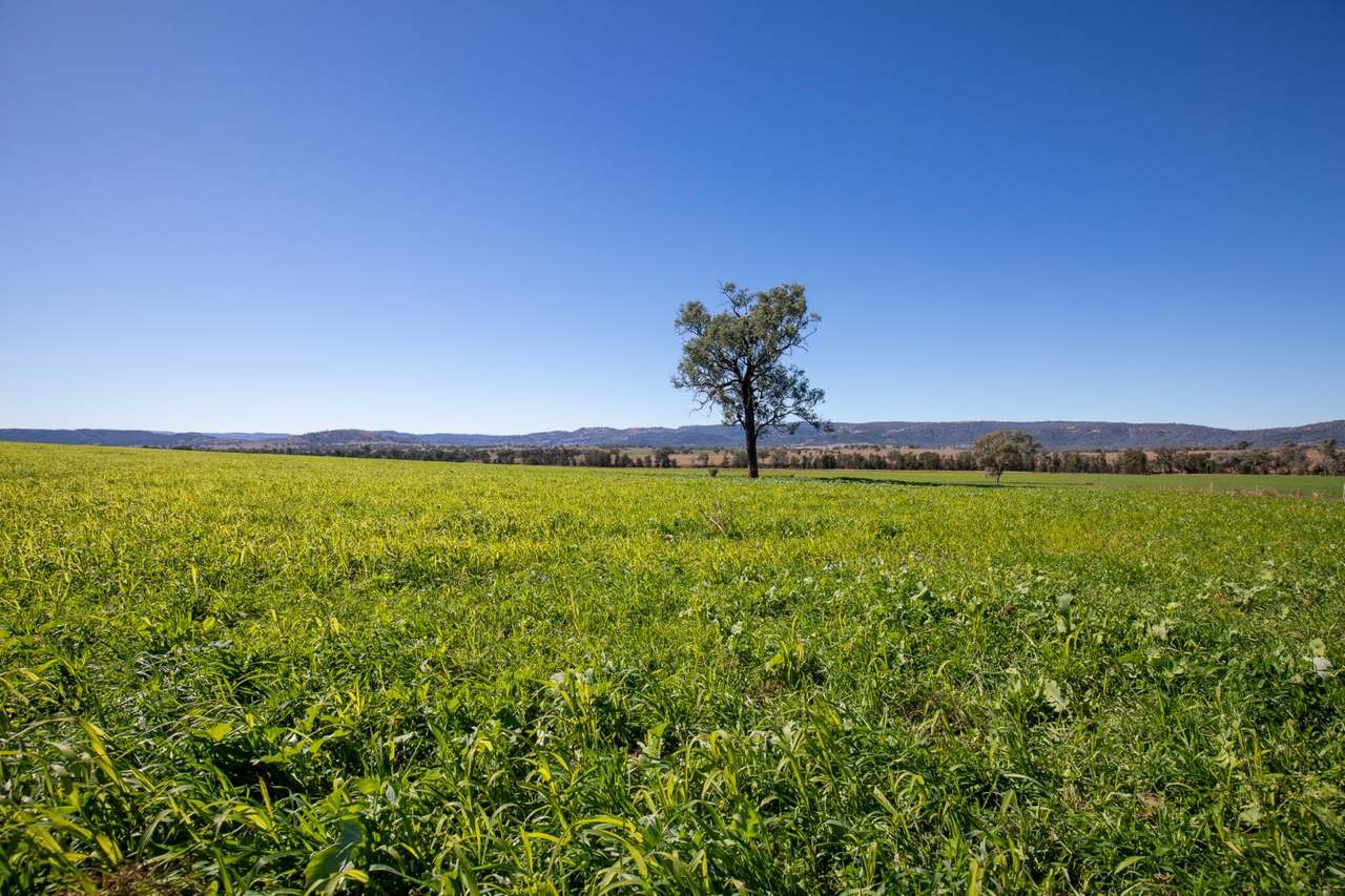 3243-3351 Trevallyn Road, Upper Horton Auction by Farmbuy.com - image 29