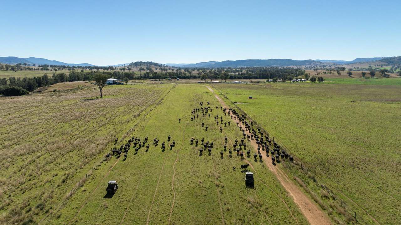 3243-3351 Trevallyn Road, Upper Horton Auction by Farmbuy.com - image 18