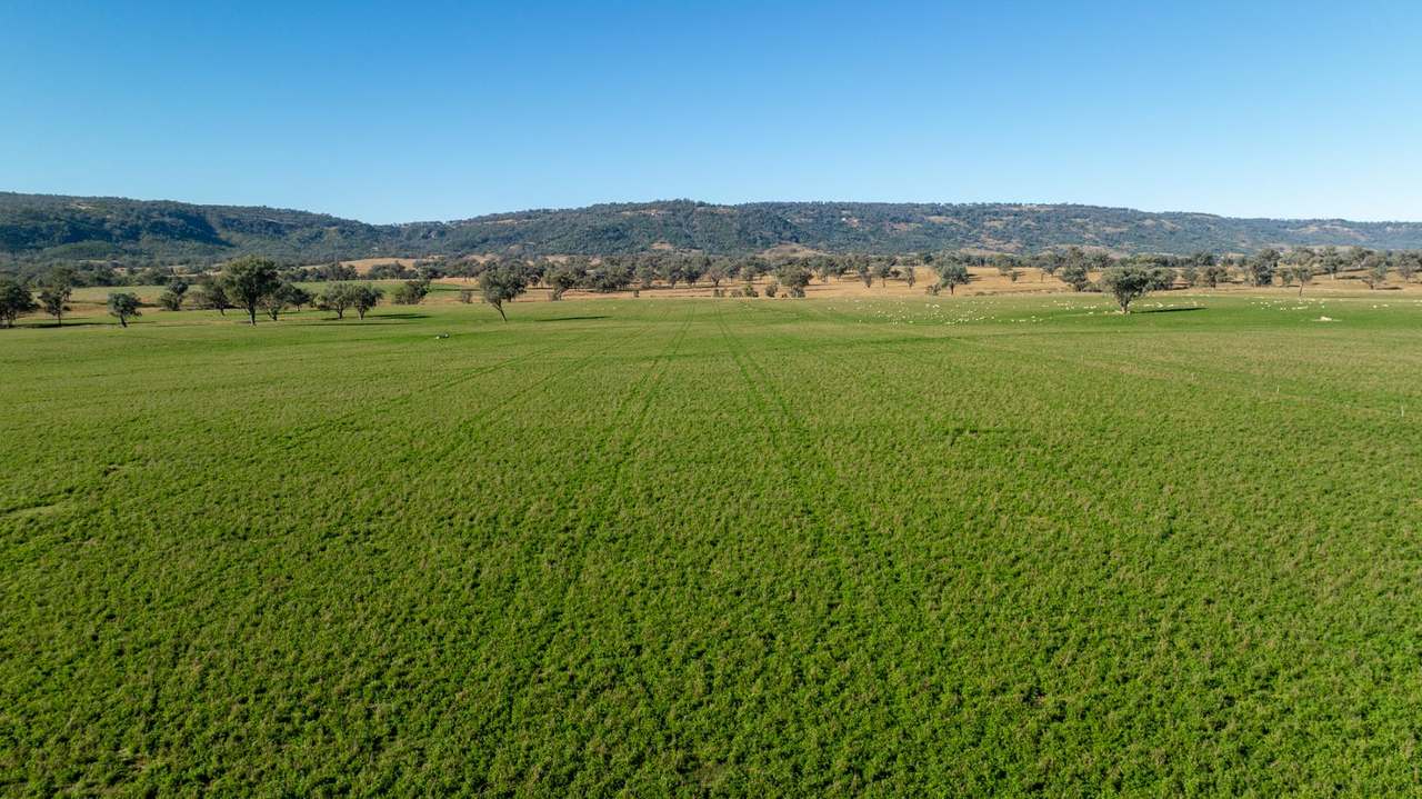 3243-3351 Trevallyn Road, Upper Horton Auction by Farmbuy.com - image 5