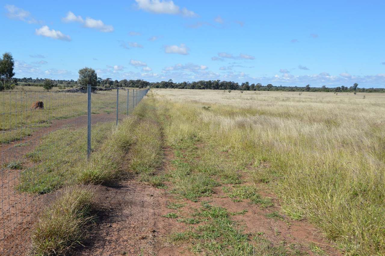 55165 Leichhardt Highway , Billa Billa For Sale by Farmbuy.com - image 14