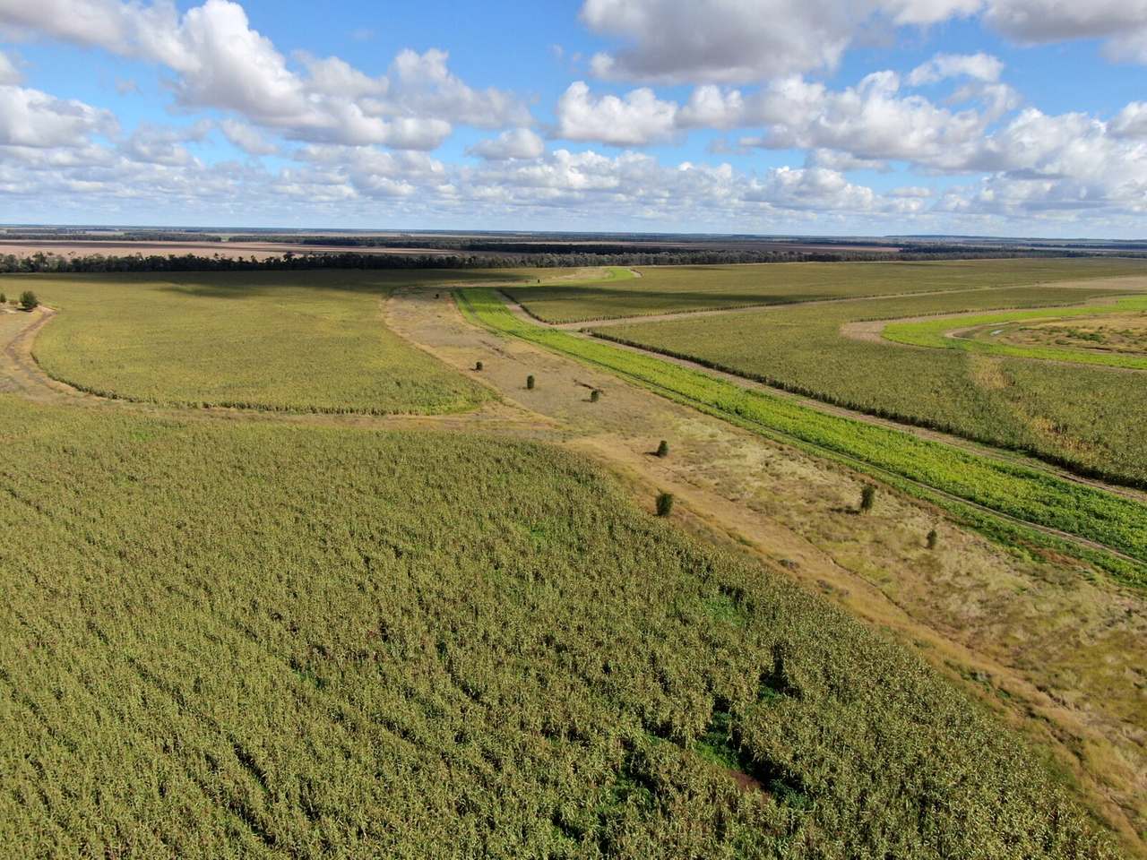 55165 Leichhardt Highway , Billa Billa For Sale by Farmbuy.com - image 6