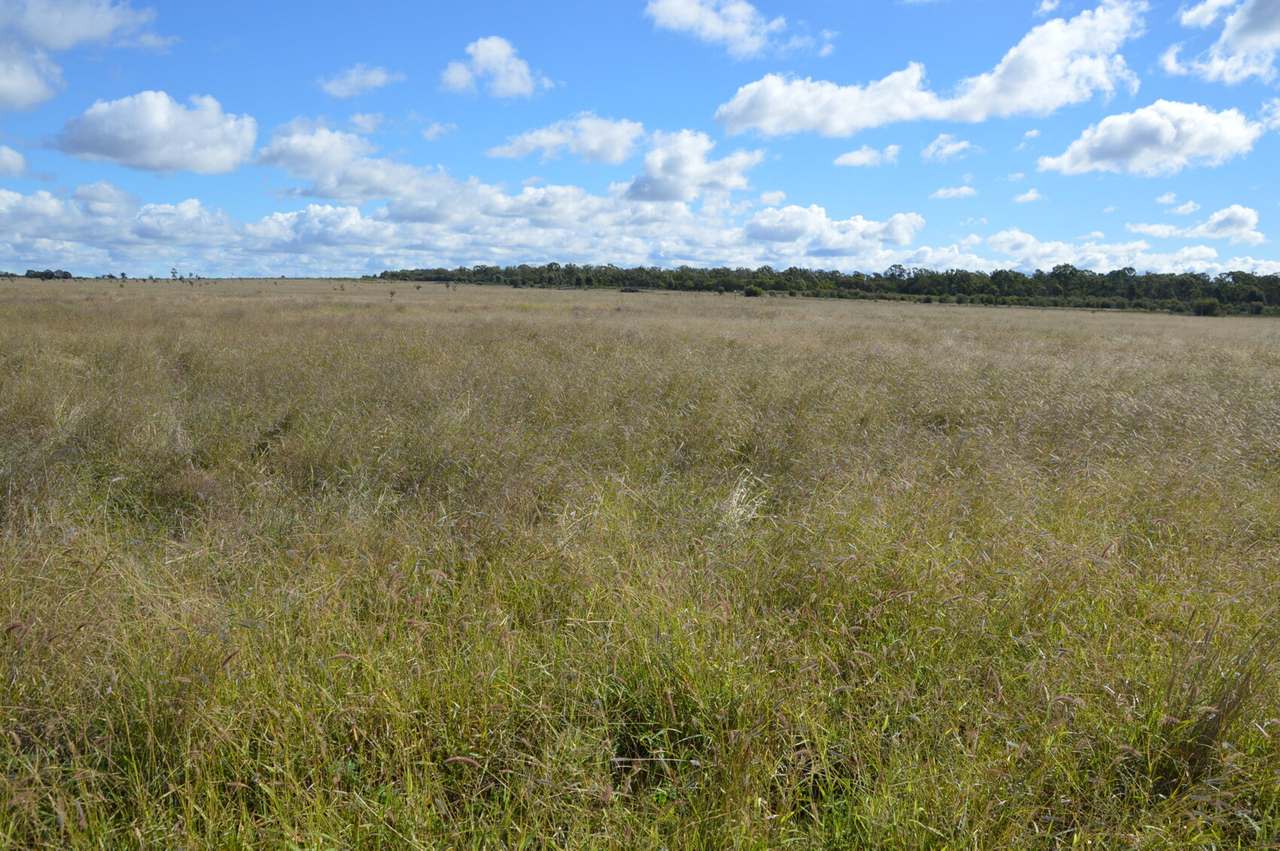 55165 Leichhardt Highway , Billa Billa For Sale by Farmbuy.com - image 15