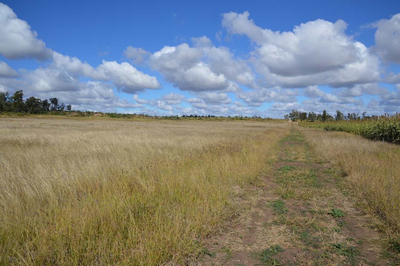 55165 Leichhardt Highway , Billa Billa For Sale by Farmbuy.com - image 16