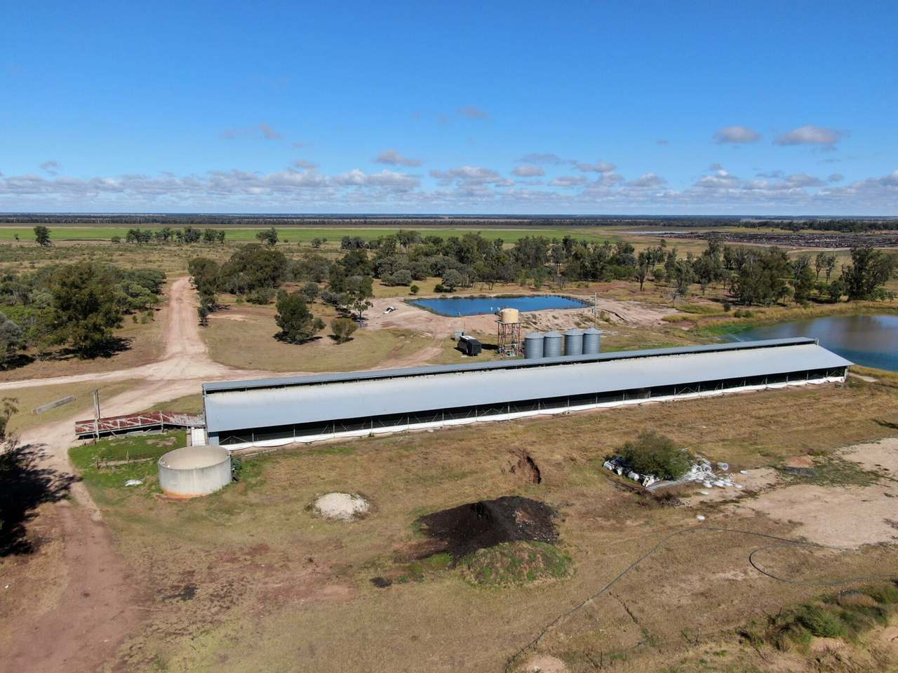 55165 Leichhardt Highway , Billa Billa For Sale by Farmbuy.com - image 13