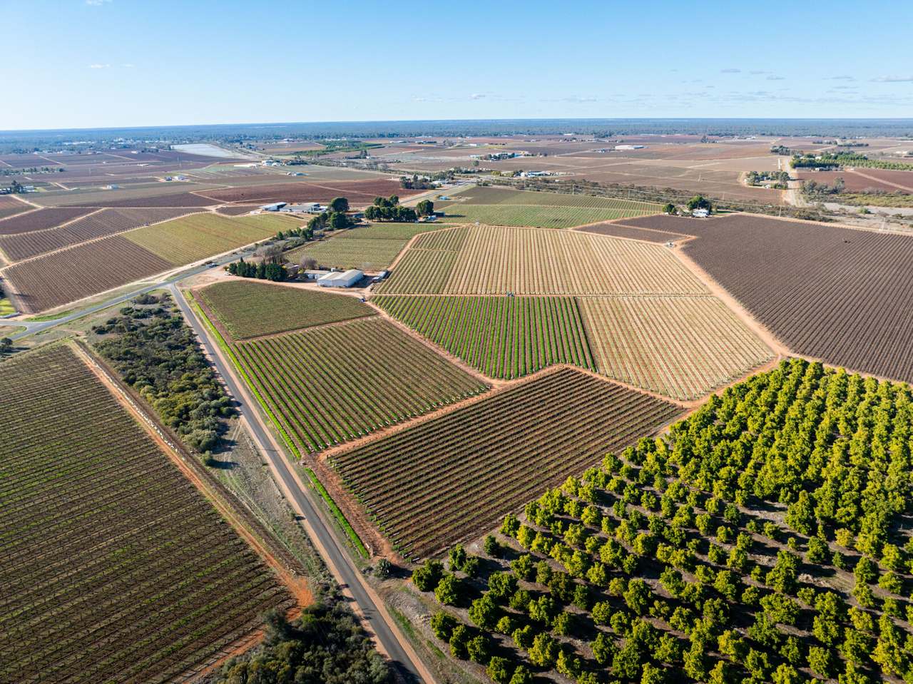 87 Happy Valley Road, Robinvale For Sale by Farmbuy.com - image 30