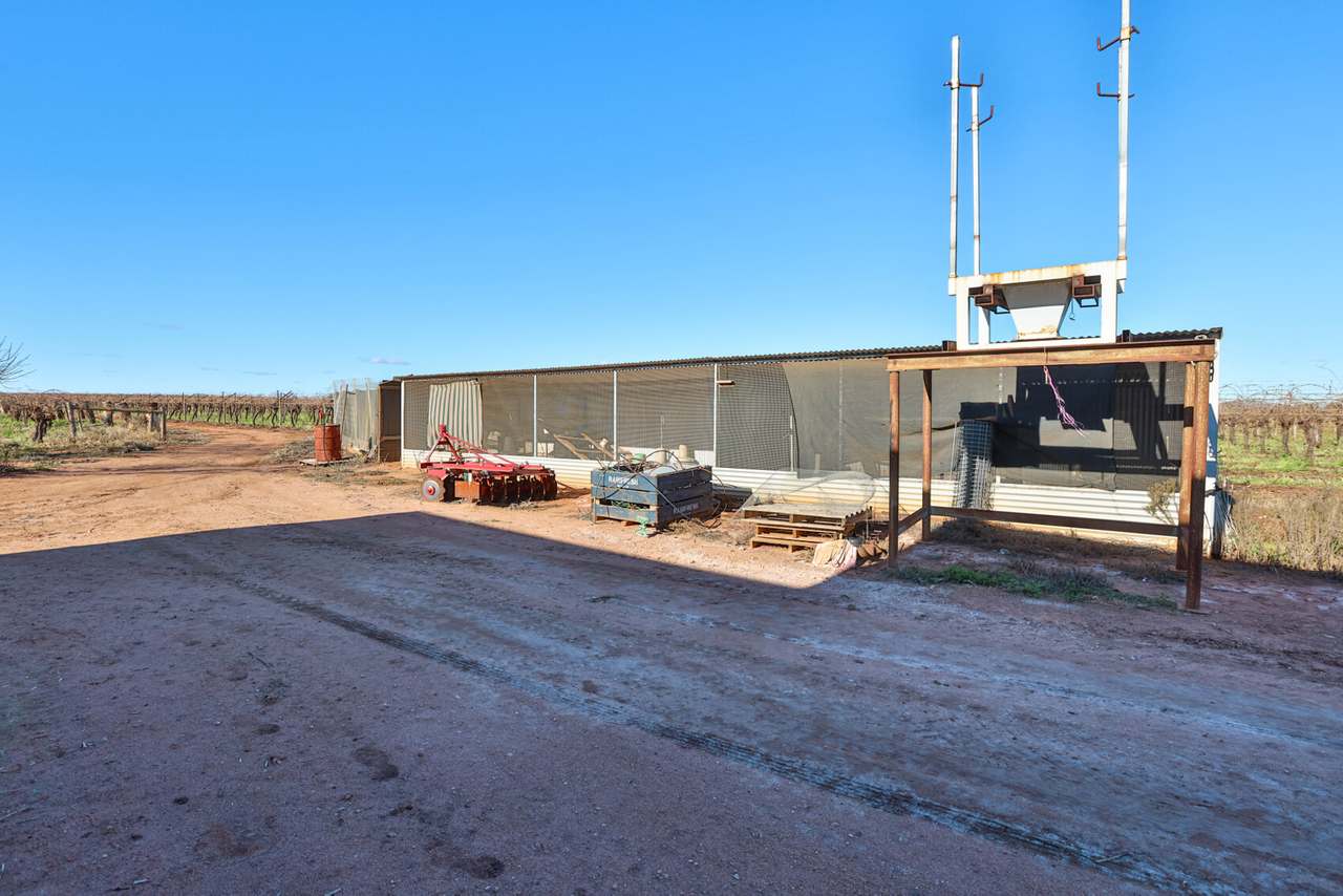 87 Happy Valley Road, Robinvale For Sale by Farmbuy.com - image 28