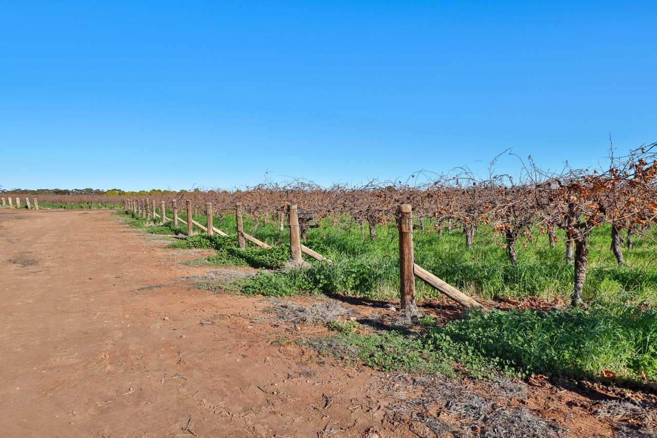 87 Happy Valley Road, Robinvale For Sale by Farmbuy.com - image 25