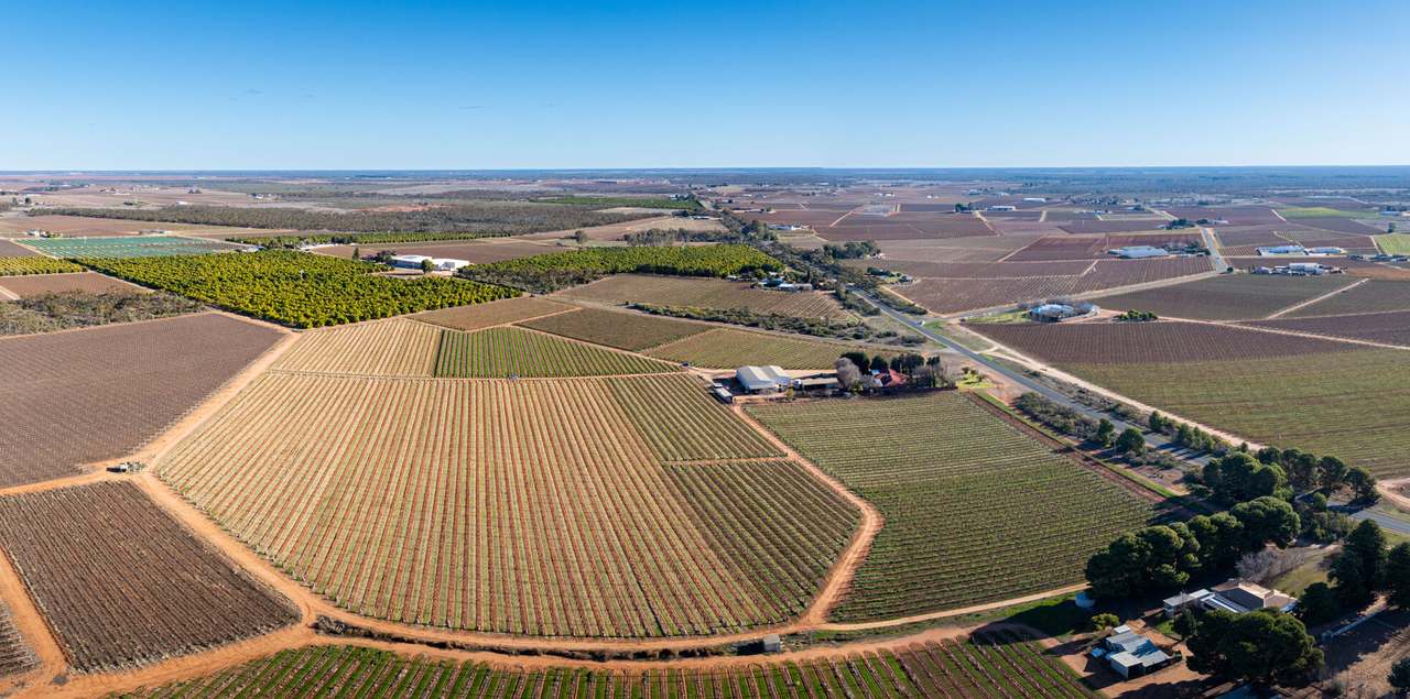 87 Happy Valley Road, Robinvale For Sale by Farmbuy.com - image 34