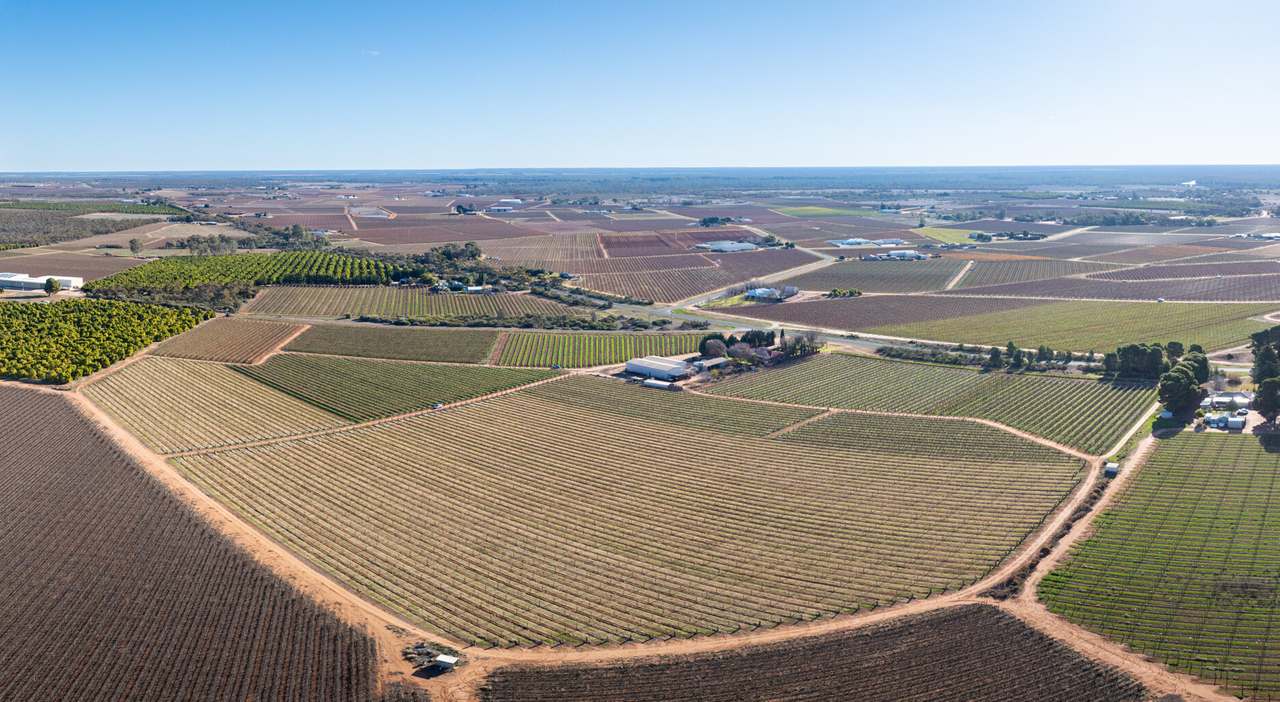 87 Happy Valley Road, Robinvale For Sale by Farmbuy.com - image 32